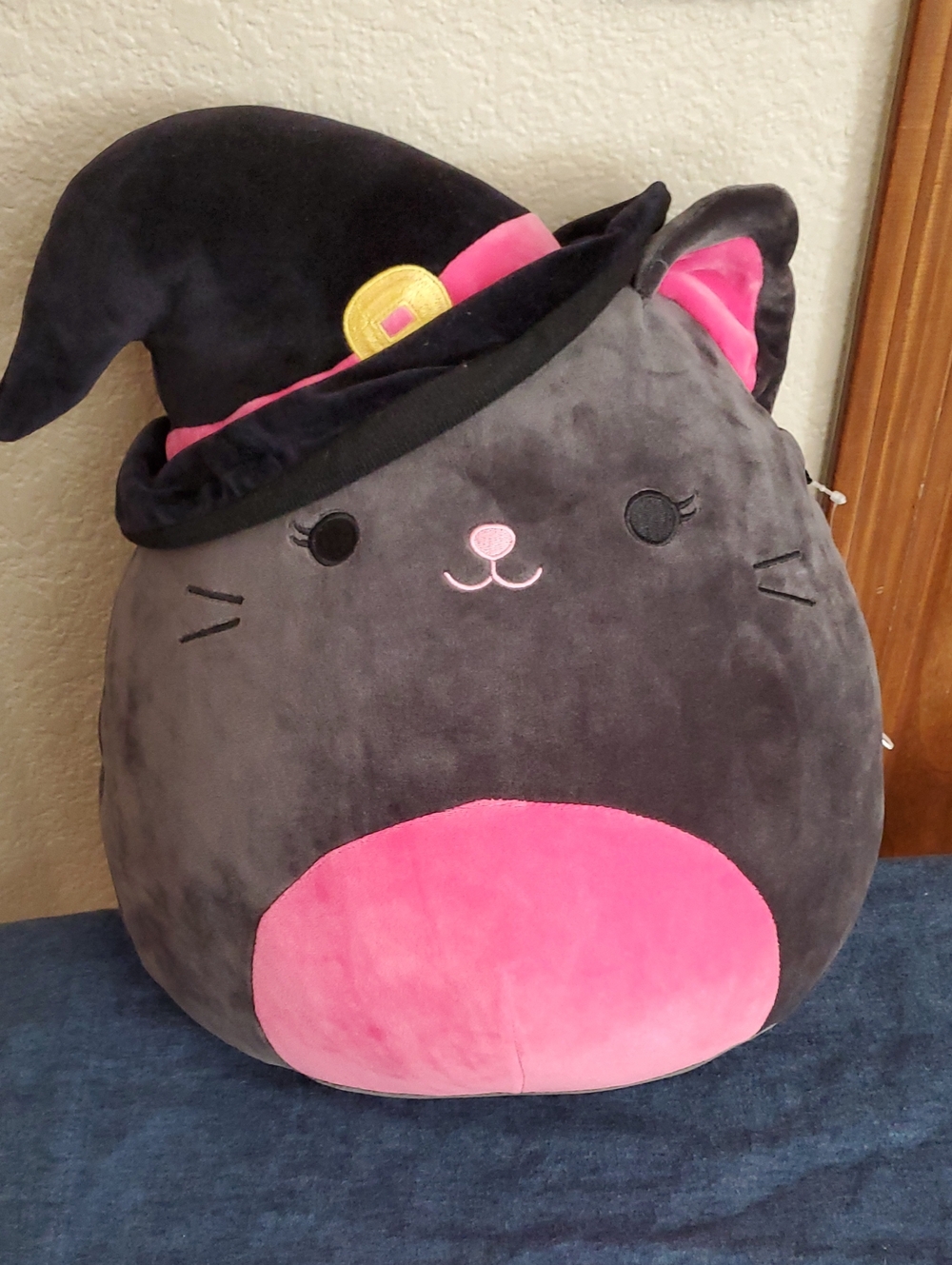 Catarina Witch Squishmallow Cat Stuffed Animal